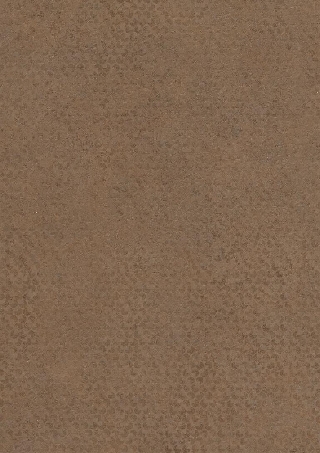 Poza Pal Cobra bronz .Metal Brushed - f323st20 [1]