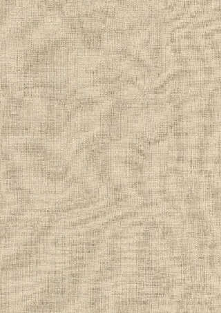Poza Pal Textil bej .Deepskin Rough - f416st10 [1]