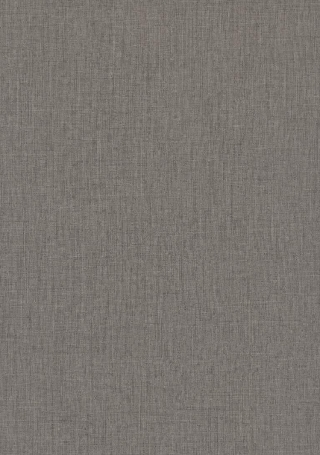 Poza Pal In antracit .Deepskin Rough - f433st10 [1]