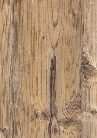 Poza Pal Pin Bramberg .Deepskin Linear - h1487st22 [1]