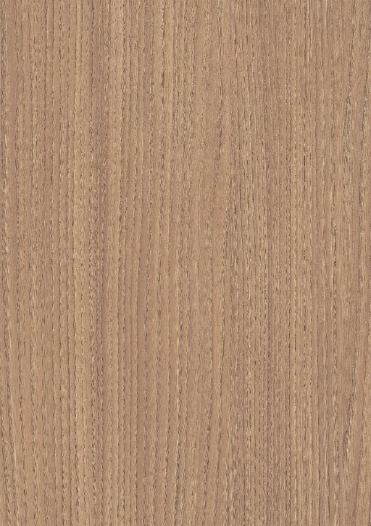 Poza Pal Castan Brighton .Omnipore Oiled - h1708st17 [1]