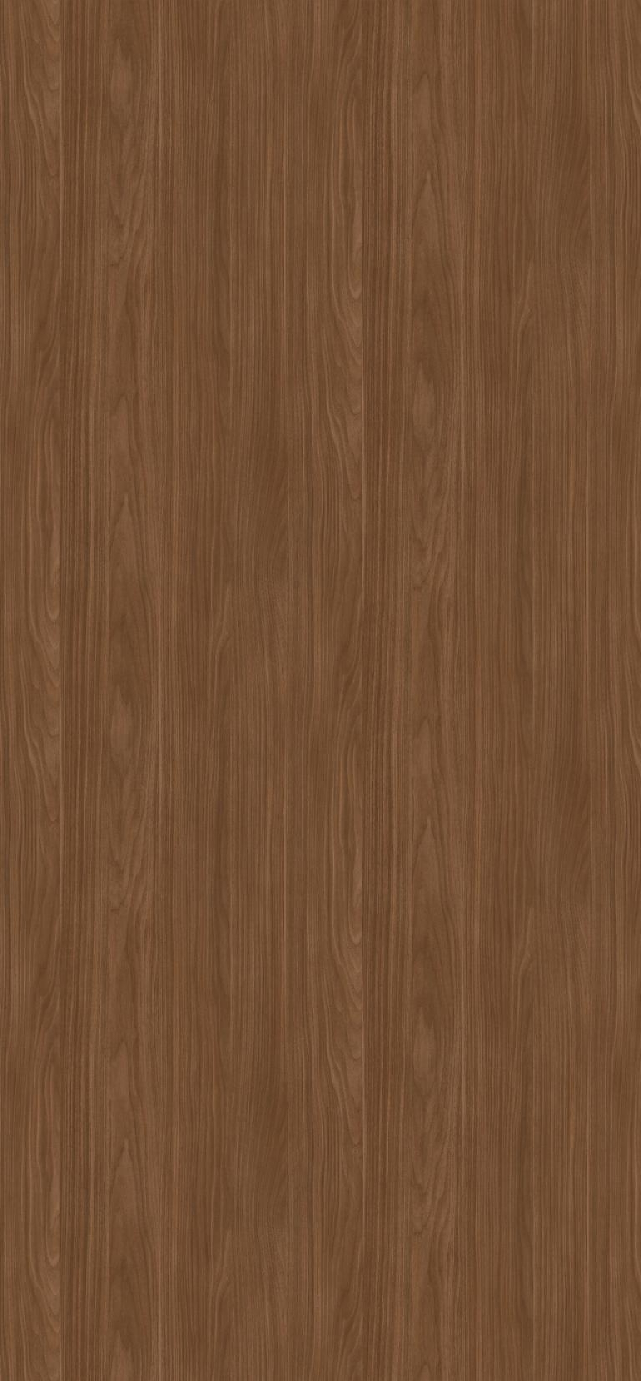 Poza Pal Nuc Lincoln .Deepskin Excellent - h1714st19 [2]