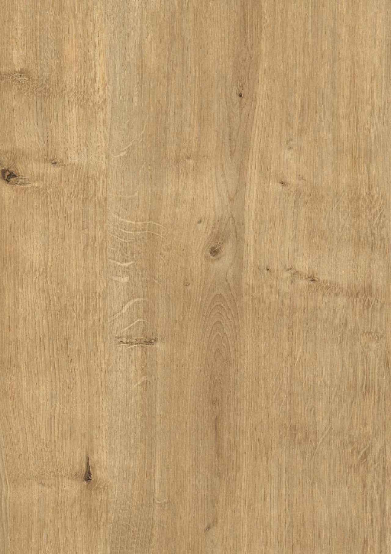 Poza Pal Stejar Hamilton natur .Deepskin Rough - h3303st10 [1]