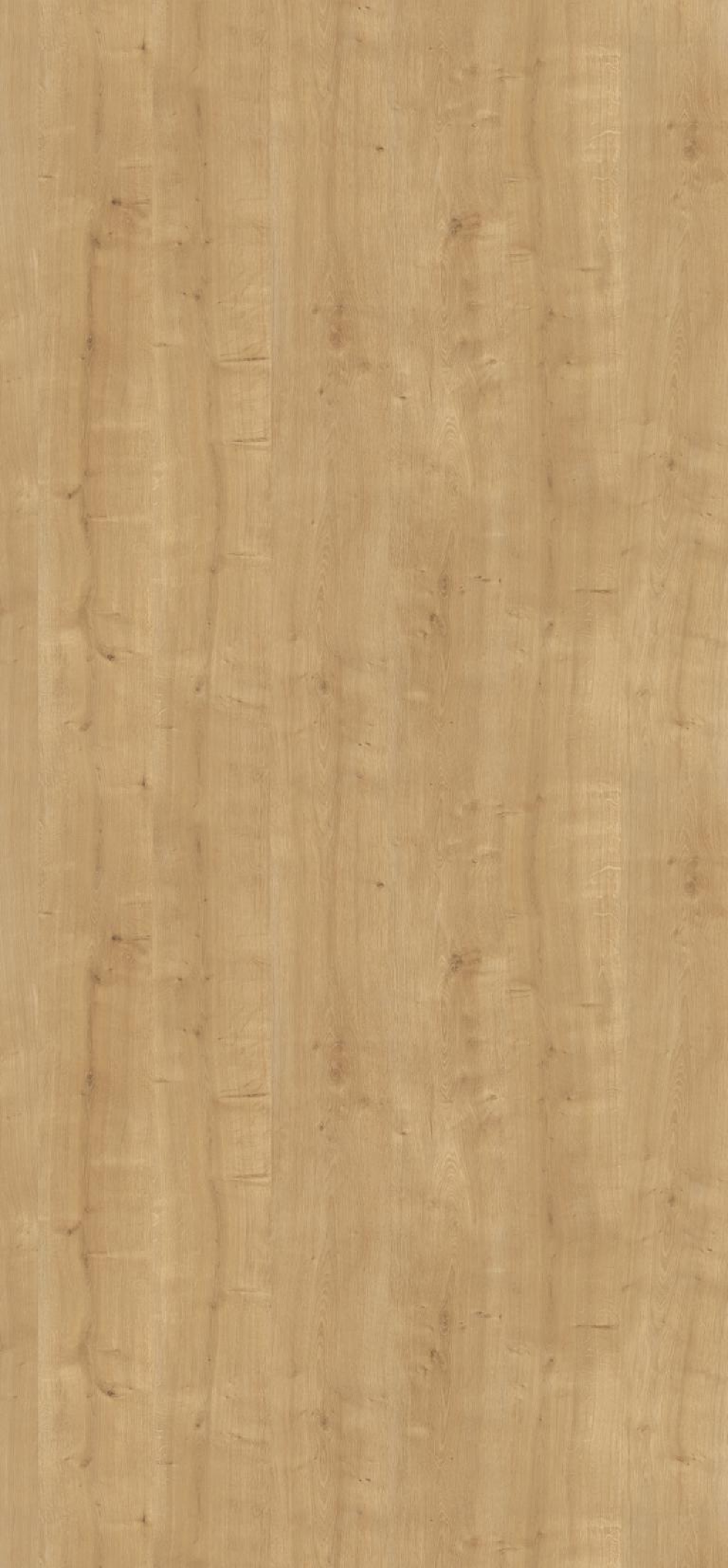 Poza Pal Stejar Hamilton natur .Deepskin Rough - h3303st10 [2]