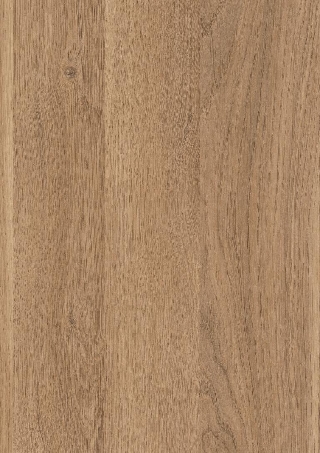 Poza Pal Stejar Cuneo maro .Feelwood Nature - h3317st28 [1]