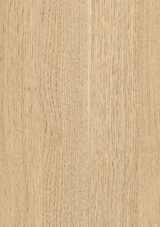 Poza Pal Stejar Kaisersberg .Deepskin Excellent - h3349st19 [1]