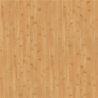 Poza Pal Molid natur .Deepskin Linear - h3400st22 [1]