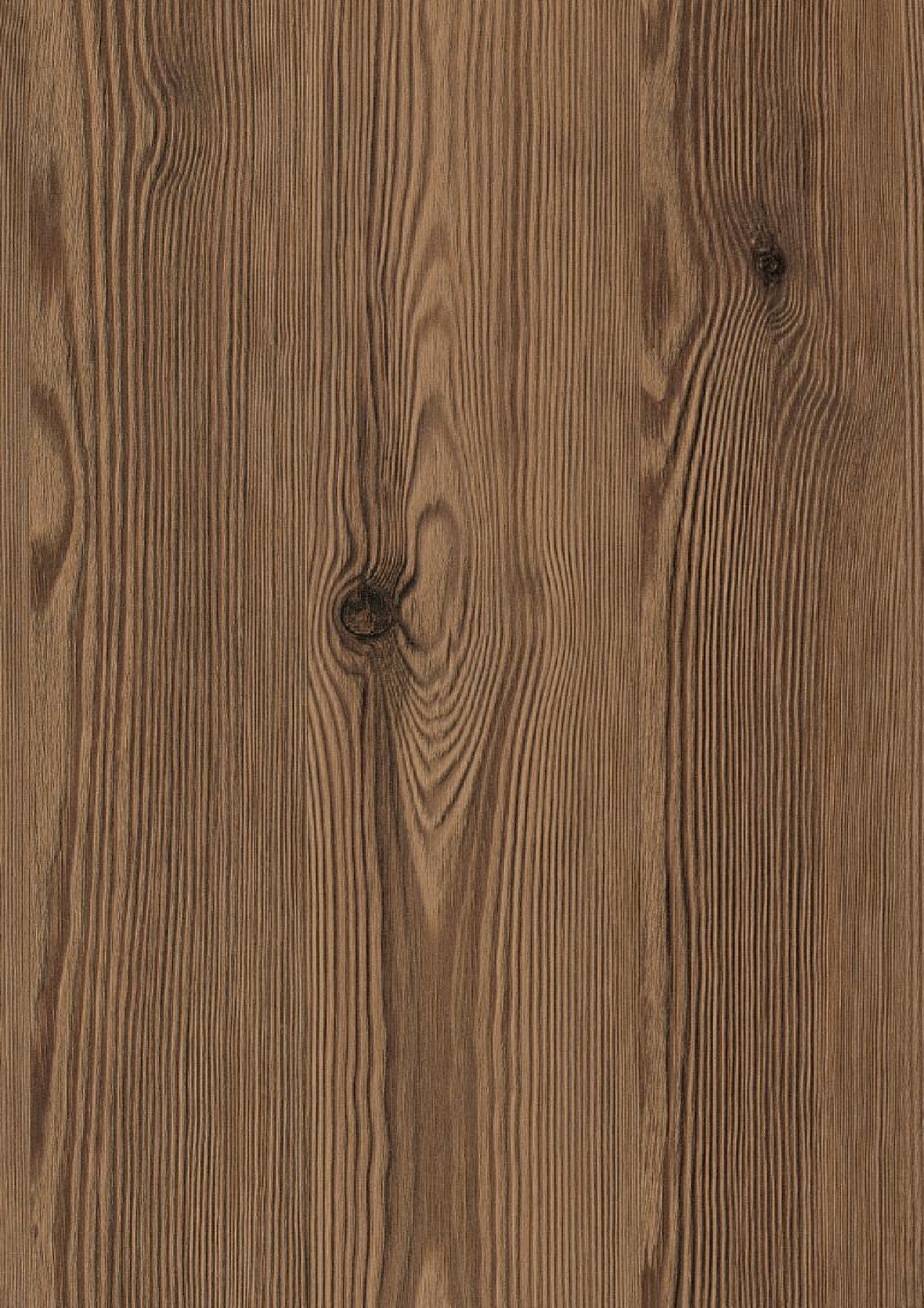 Poza Pal Larice de munte Thermo maro .Feelwood Pinegrain - h3408st38 [1]
