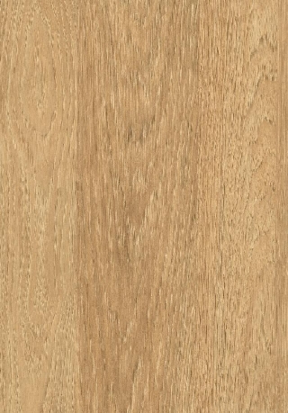 Poza Pal Hicori natur .Deepskin Rough - h3730st10 [1]