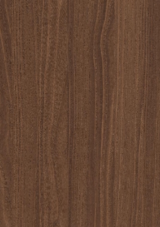Poza Pal Bolivar Wood maro .Deepskin Excellent - h3787st19 [1]