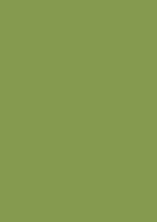 Poza Hpl Verde kiwi .Smoothtouch Matt - u626st9 [1]