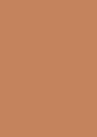 Poza Pal Caramel nude .Smoothtouch Matt - u830st9 [1]