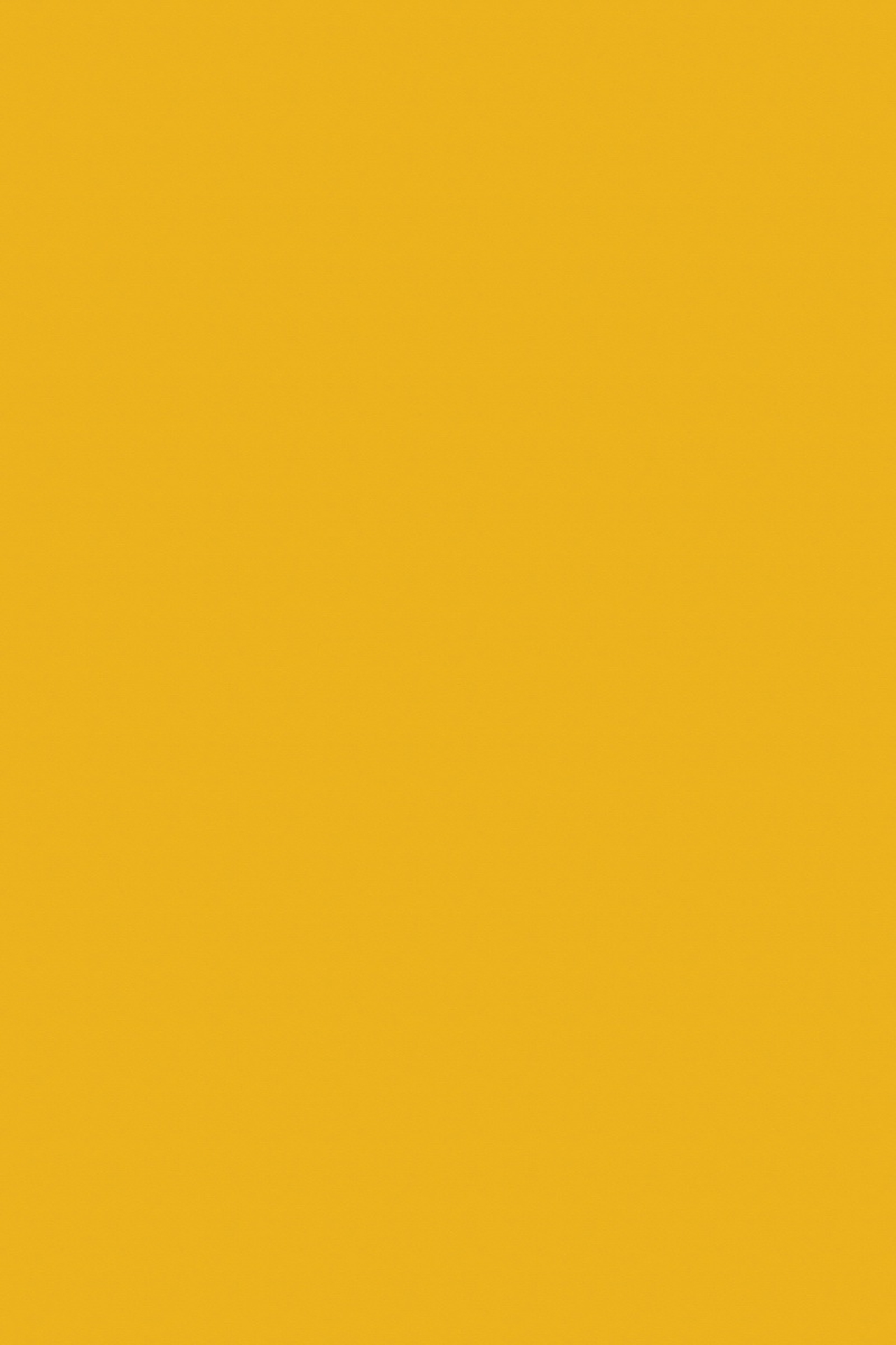 Poza Pal Yellow .Office - 242fs15 [1]