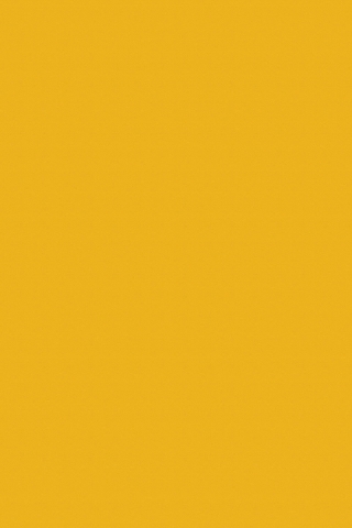 Poza Pal Yellow .Office - 242fs15 [1]