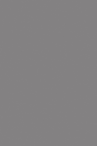 Poza Pal Slate Grey .Crystal - 318fs02 [1]
