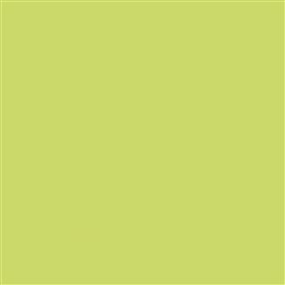 Poza Hpl Lime .Matte 58 - f4177mat [1]