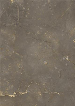 Poza Pal Olivine .Real Matt - 0670rm [1]