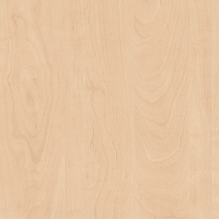 Poza Pal Mesteacan .Office - a827ps11 [1]