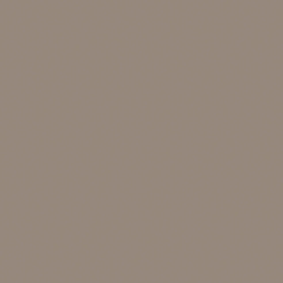 Poza Pal Bronz .Perlat - d145ps14 [1]