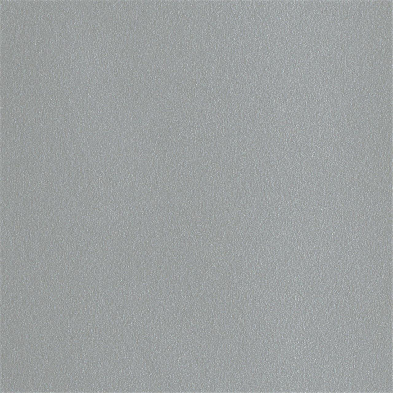 Poza Pal Argintiu .Office - d301ps11 [1]