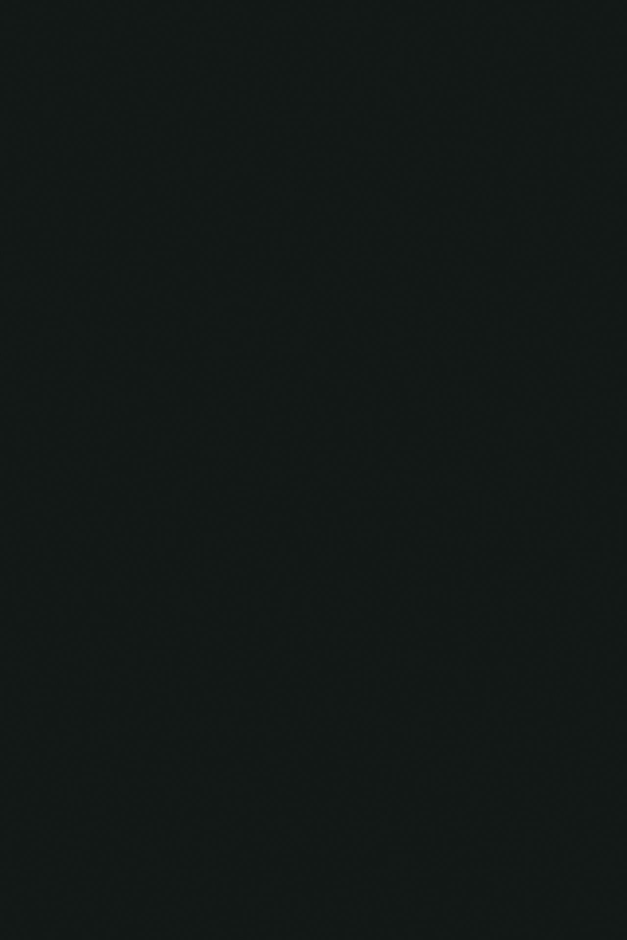 Poza Pal Black .Mirror Gloss - 0190mg [1]