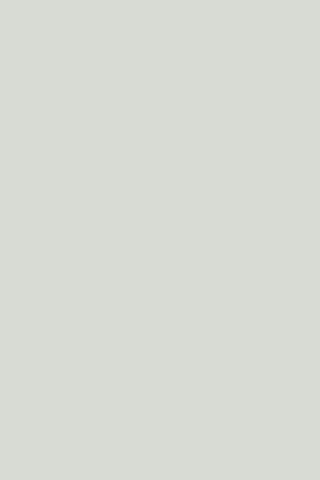 Poza Pal Cool grey .Super Matt - 0191su [1]