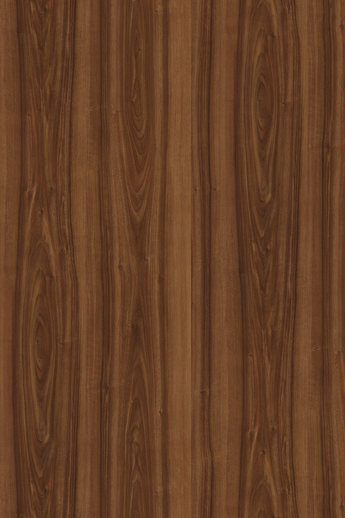 Poza Pfl Nuc .Wood Pore - 0729pr [1]