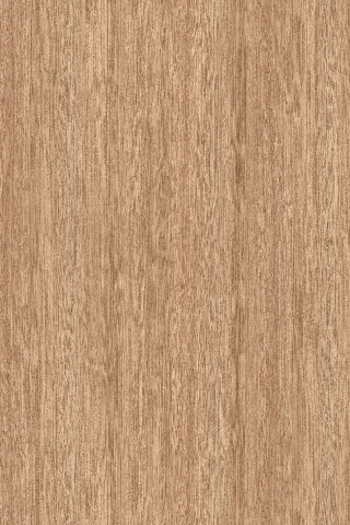 Poza Pal Slavonia Oak .Super Natural - 5501sn [1]