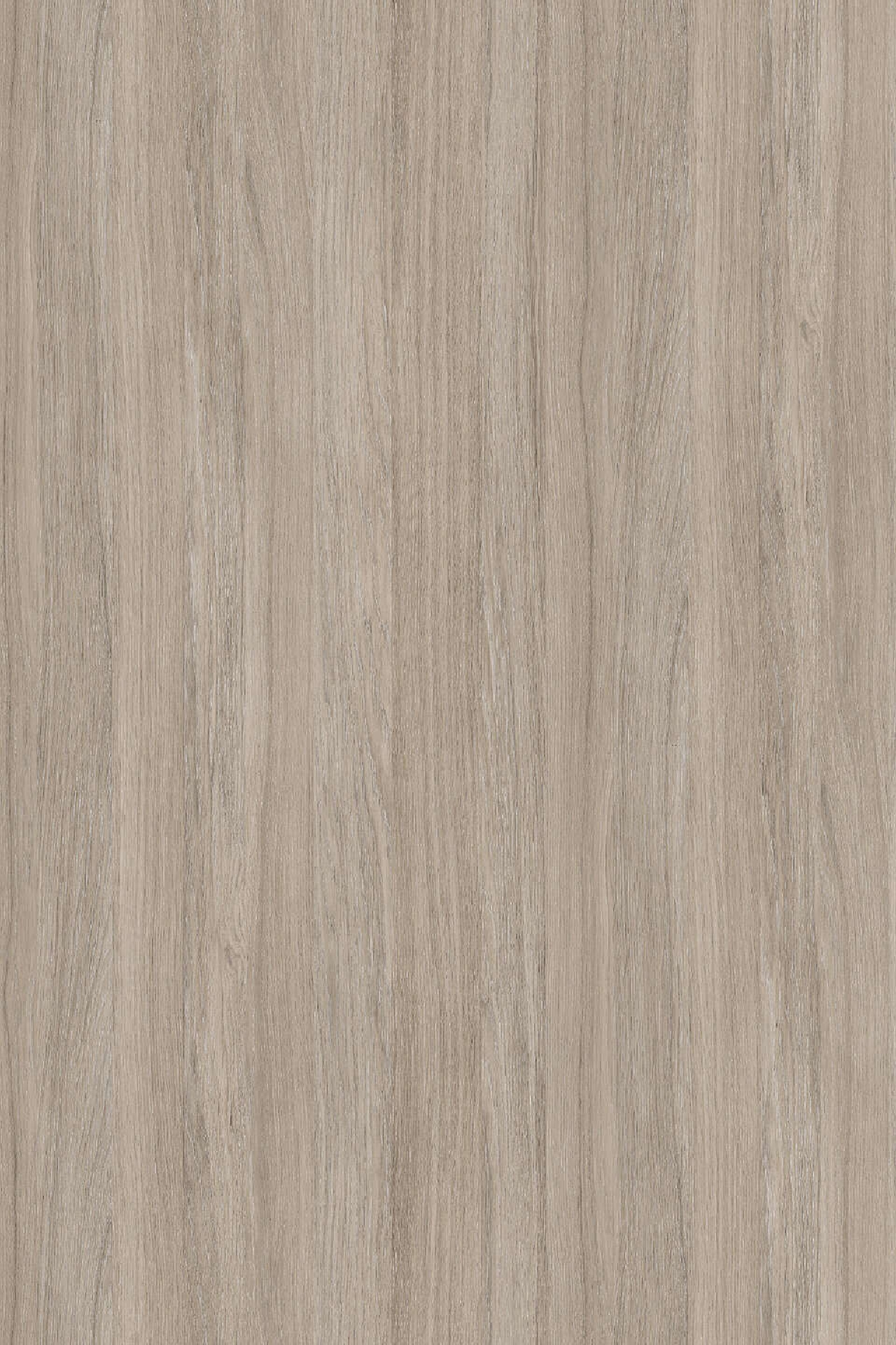 Poza Pal Oyster Urban Oak .Pure Wood - k005pw [1]