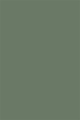 Poza Pal Smoke Green .Bureau Structure - k521bs [1]