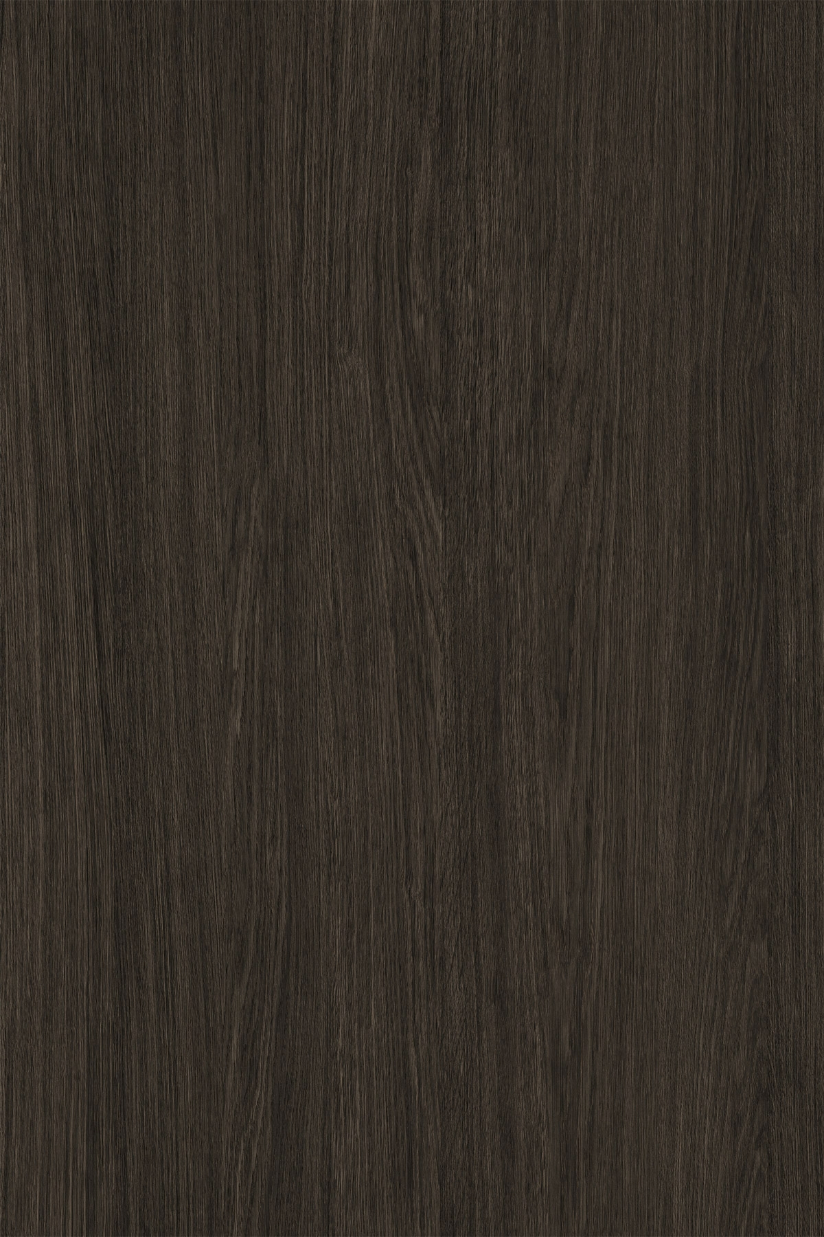Poza Pal Cocoa Primavera Oak .Pure Wood - k697pv [1]