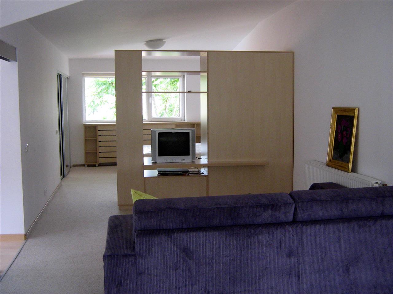 Poza corp deschis + pat, pal, mesteacan alb - cdr080613 [1]