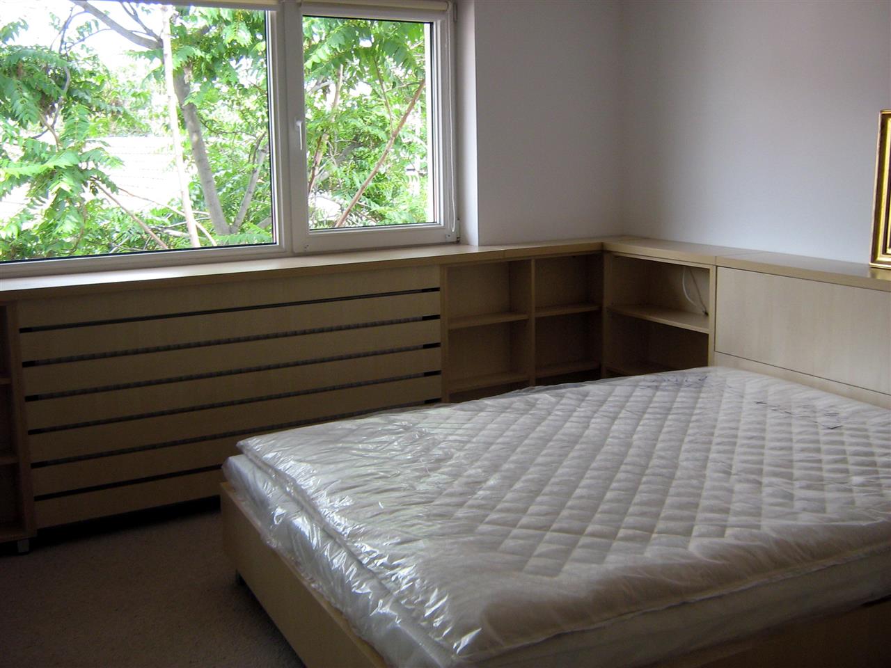 Poza corp deschis + pat, pal, mesteacan alb - cdr080613 [2]