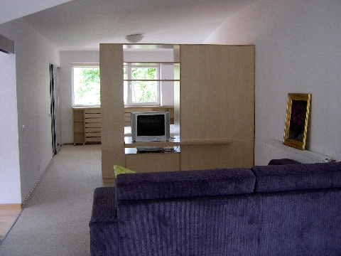 Poza corp deschis + pat, pal, mesteacan alb - cdr080613 [1]