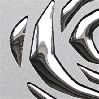 Poza Hpl Punch Line 3D Roses Silver PF met/Silver - PL-3DROSESSilverPFmetSilver [1]