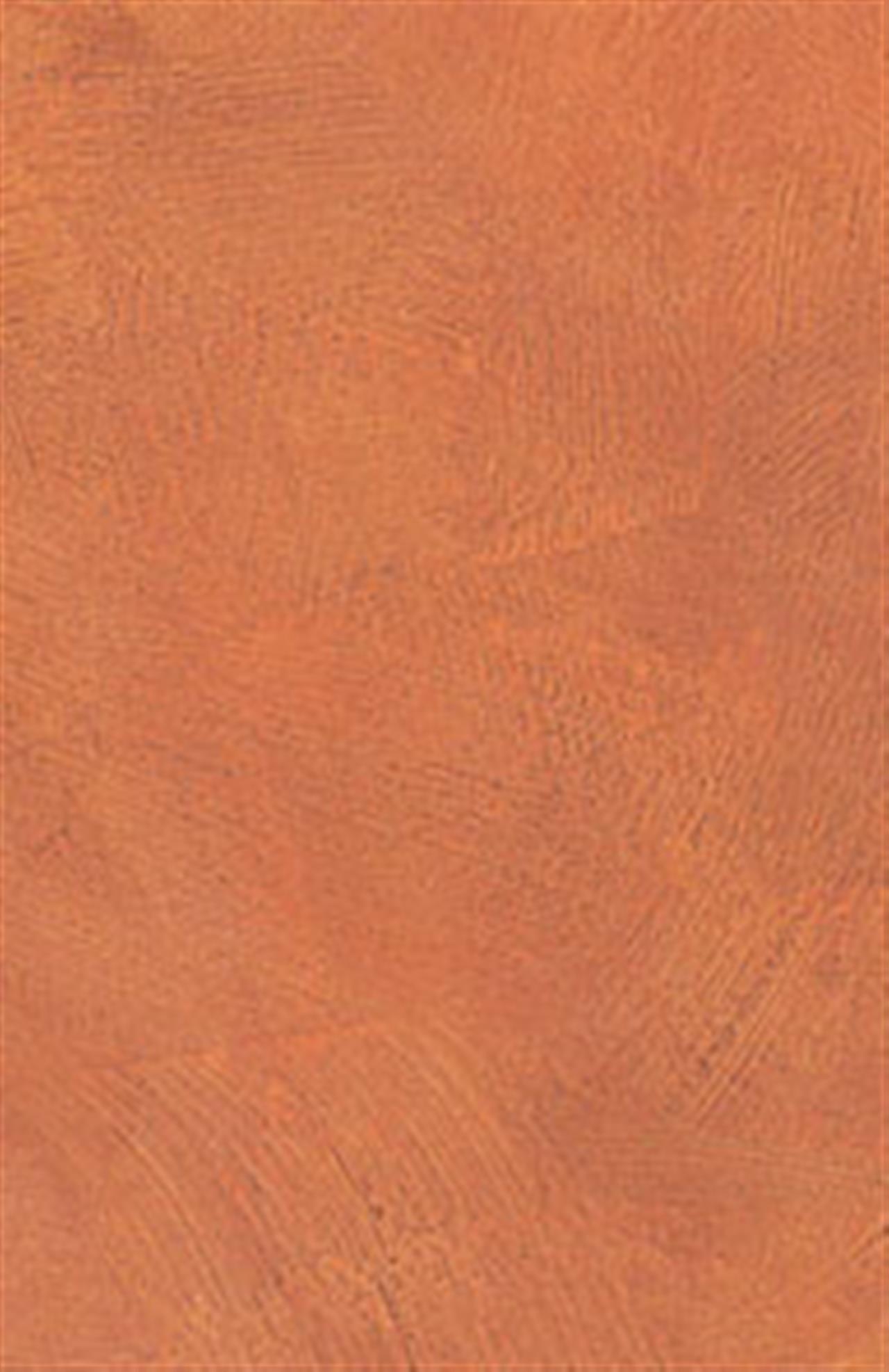 Poza Pal Nizza 3 .Lucios - nizza3l [2]