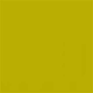 Poza Pal Iguana .Lucios - u110l [1]