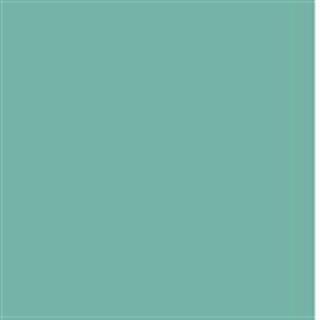 Poza Pal Verde menta .Lucios - u265l [1]